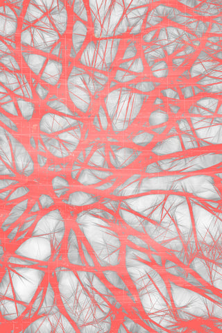 Nerves 2 - Wall Art - By Ann Bailey- Gallery Art Company