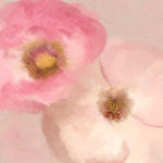 Blush Blooms 1 - Wall Art - By Kimberly Allen- Gallery Art Company