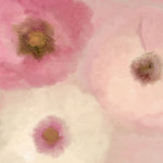 Blush Blooms 2 - Wall Art - By Kimberly Allen- Gallery Art Company