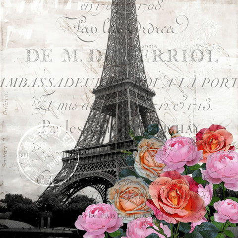 Paris Blooms 1 - Wall Art - By Kimberly Allen- Gallery Art Company