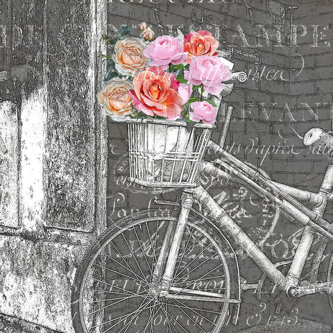 Paris Blooms 2 - Wall Art - By Kimberly Allen- Gallery Art Company