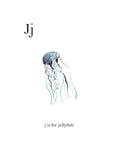 J is for Jellyfish - Wall Art - By Leah Straatsma- Gallery Art Company