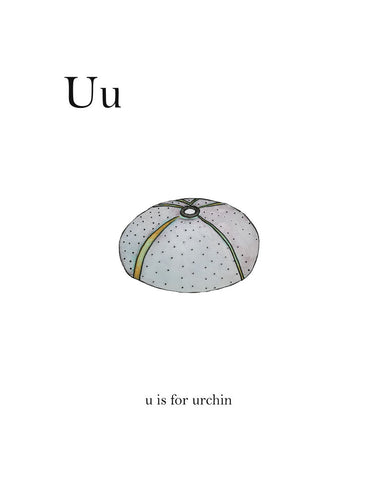 U is for Urchin - Wall Art - By Leah Straatsma- Gallery Art Company