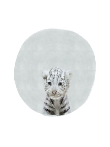 Baby White Tiger - Wall Art - By Leah Straatsma- Gallery Art Company