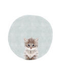 Baby Circle Kitten - Wall Art - By Leah Straatsma- Gallery Art Company