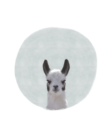 Baby Circle Llama - Wall Art - By Leah Straatsma- Gallery Art Company