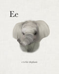 E is for Elephant - Wall Art - By Leah Straatsma- Gallery Art Company