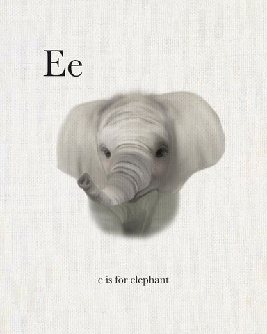 E is for Elephant - Wall Art - By Leah Straatsma- Gallery Art Company