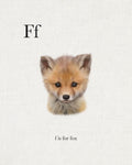 F is for Fox - Wall Art - By Leah Straatsma- Gallery Art Company