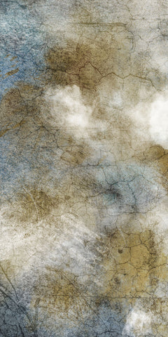 Fractured Cerebellum 1 - Wall Art - By Marcus Prime- Gallery Art Company