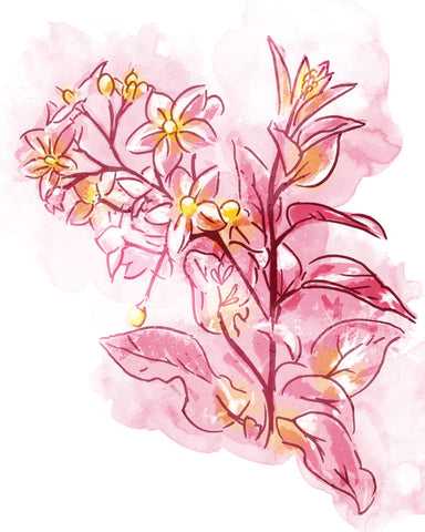 Water Inked Florals - Wall Art - By Onrei- Gallery Art Company