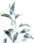 Gentle Botanical 1 - Wall Art - By Dianne Poinski- Gallery Art Company