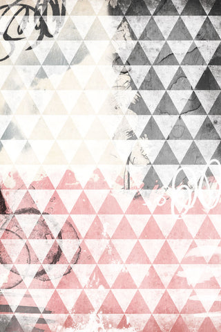 Rose Tri Abstract - Wall Art - By Jace Grey- Gallery Art Company