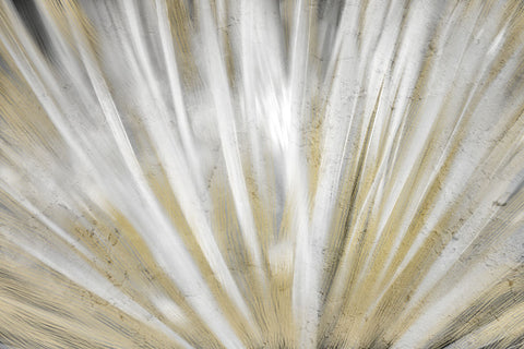 Burst of Day - Wall Art - By Kimberly Allen- Gallery Art Company