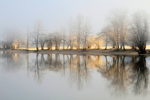 january morning - Wall Art - By Bor- Gallery Art Company