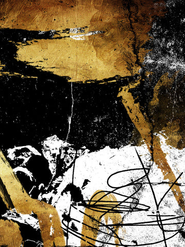 Focus - Wall Art - By Onrei- Gallery Art Company