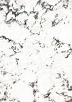 Modern Design - Wall Art - By Sheldon Lewis- Gallery Art Company