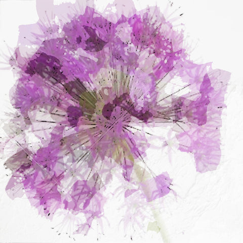 Modern Lilac I - Wall Art - By Taylor Greene- Gallery Art Company