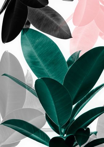 Leaf Play - Wall Art - By SISI & SEB ART- Gallery Art Company