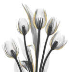 Gold Embellished Tulips 1 - Wall Art - By Albert Koetsier- Gallery Art Company