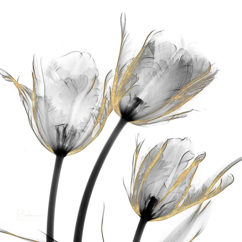 Gold Embellished Tulips 2 - Wall Art - By Albert Koetsier- Gallery Art Company