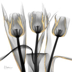 Gold Embellished Tulips 4 - Wall Art - By Albert Koetsier- Gallery Art Company