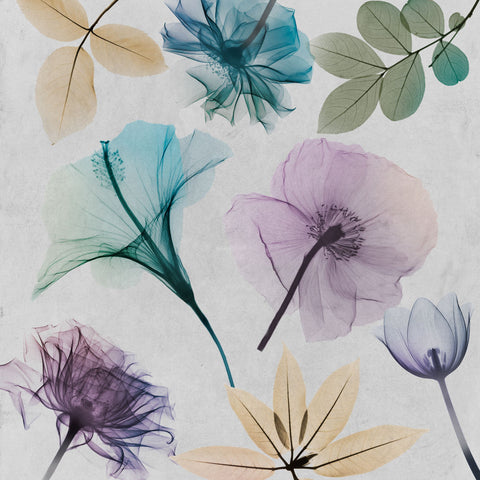 Floral Collage 2 - Wall Art - By Albert Koetsier- Gallery Art Company