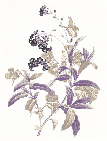 Lavender Flowers Two - Wall Art - By Jace Grey- Gallery Art Company