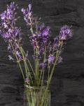 Lavender Jar 1 - Wall Art - By Kimberly Allen- Gallery Art Company