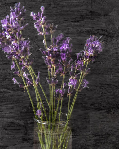 Lavender Jar 1 - Wall Art - By Kimberly Allen- Gallery Art Company