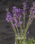 Lavender Jar 2 - Wall Art - By Kimberly Allen- Gallery Art Company