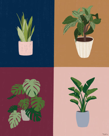 Four Plants - Wall Art - By Kyra Brown- Gallery Art Company