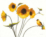 Sunny Flowers IV Light - Wall Art - By Shirley Novak- Gallery Art Company