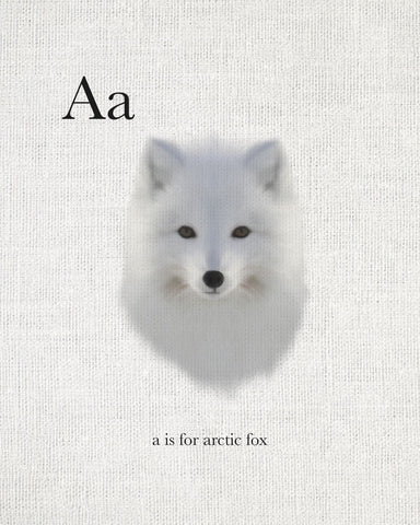 A is for Arctic Fox - Wall Art - By Leah Straatsma- Gallery Art Company