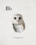 B is for Barn Owl - Wall Art - By Leah Straatsma- Gallery Art Company