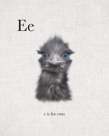 E is for Emu - Wall Art - By Leah Straatsma- Gallery Art Company