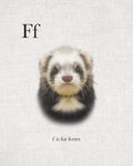 F is for Ferret - Wall Art - By Leah Straatsma- Gallery Art Company