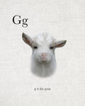 G is for Goat - Wall Art - By Leah Straatsma- Gallery Art Company