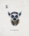 I is for Indri Lemur - Wall Art - By Leah Straatsma- Gallery Art Company