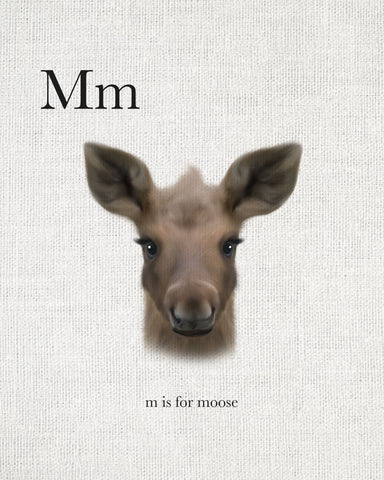 M is for Moose - Wall Art - By Leah Straatsma- Gallery Art Company