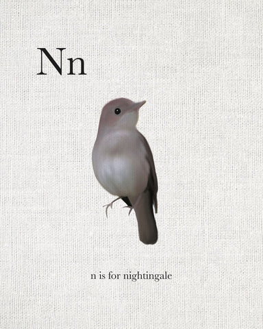 N is for Nightingale - Wall Art - By Leah Straatsma- Gallery Art Company