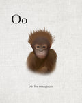 O is for Orangutan - Wall Art - By Leah Straatsma- Gallery Art Company