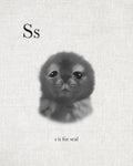 S is for Seal - Wall Art - By Leah Straatsma- Gallery Art Company