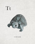 T is for Turtle - Wall Art - By Leah Straatsma- Gallery Art Company