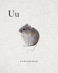 U is for Ural Mouse - Wall Art - By Leah Straatsma- Gallery Art Company