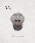 V is for Vervet Monkey - Wall Art - By Leah Straatsma- Gallery Art Company