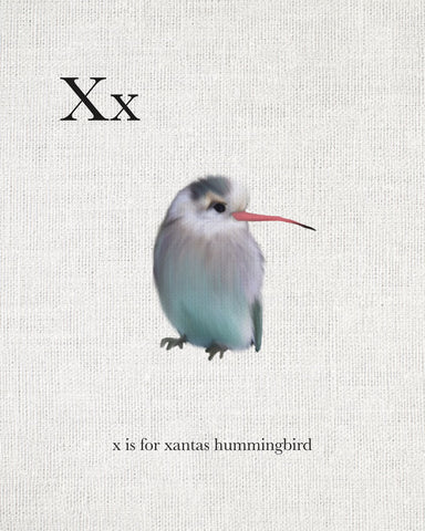 X is for Xantas Hummingbird - Wall Art - By Leah Straatsma- Gallery Art Company