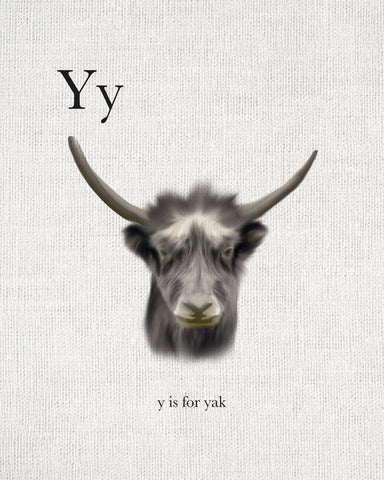 Y is for Yak - Wall Art - By Leah Straatsma- Gallery Art Company