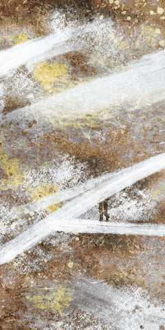 Stoned Distraction 1 - Wall Art - By Marcus Prime- Gallery Art Company