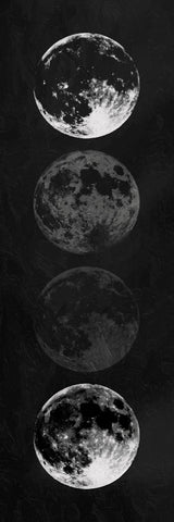 Moon Shade Reverse - Wall Art - By Milli Villa- Gallery Art Company